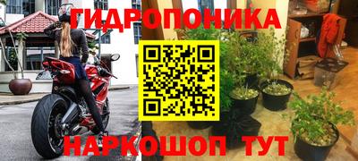 стаф Будённовск