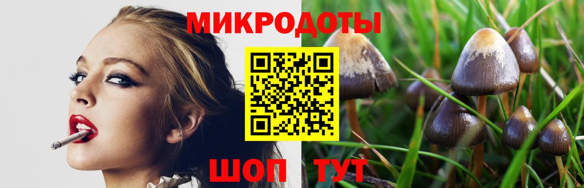 Псилоцибиновые грибы Cubensis Юрга